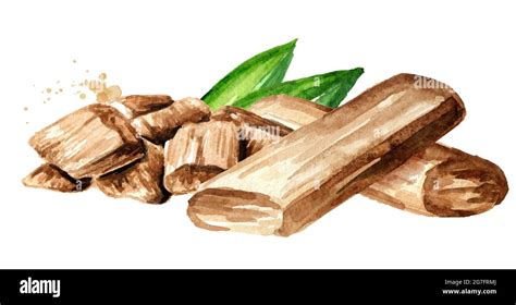 Sandalwood Or Chandan Sticks And Powder With Green Leaves Watercolor