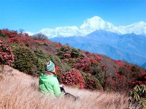 From Kathmandu 5 Day Poon Hill And Ghandruk Guided Trek GetYourGuide