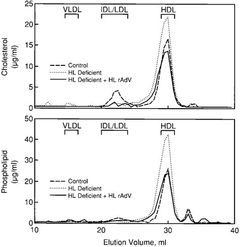 Representative Fplc Profiles Of Plasma From Control And Hl Deficient Download Scientific