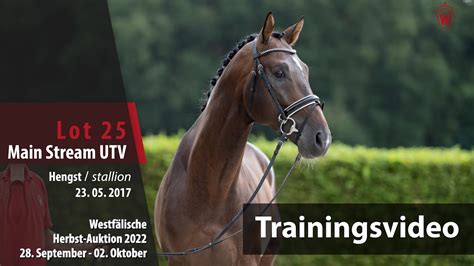 Herbst Auktion Training Lot Main Stream Utv Hengst V Total U S