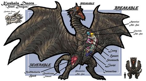 Kushala Daora Anatomy By Bangboodoragon On Deviantart Monster Hunter