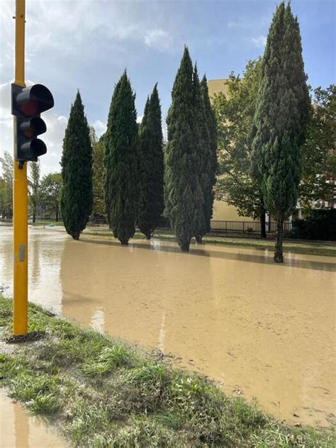 Cnr in Toscana piogge mai così forti da almeno 50 anni Ultima ora