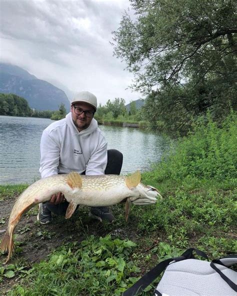 Brochet géant d 1m36 le récit de la capture Peche et Poissons