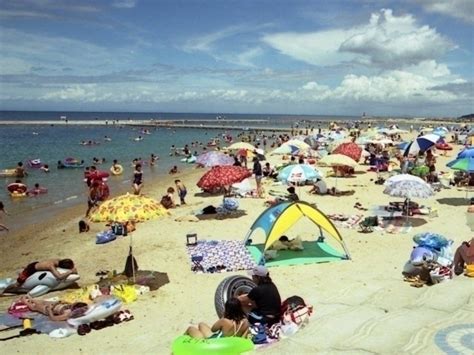 関西のおすすめのビーチ・海水浴場【2023年版】 期間やイベント、海の家の軒数など情報満載｜まっぷるトラベルガイド