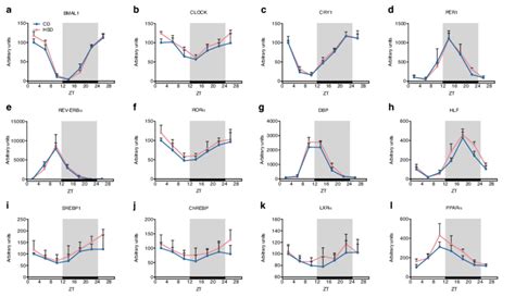 Clock Genes And Transcription Factors Involved In Lipid Metabolism