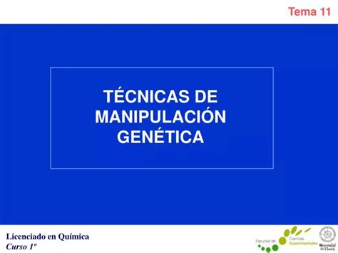 PPT TÉCNICAS DE MANIPULACIÓN GENÉTICA PowerPoint Presentation free