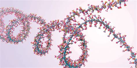 LC MS MS Method Package For Modified Nucleosides Shimadzu SOPS