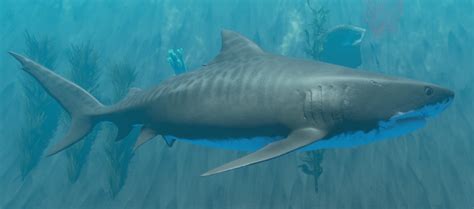 Tiger Shark Stranded Deep Wiki Fandom