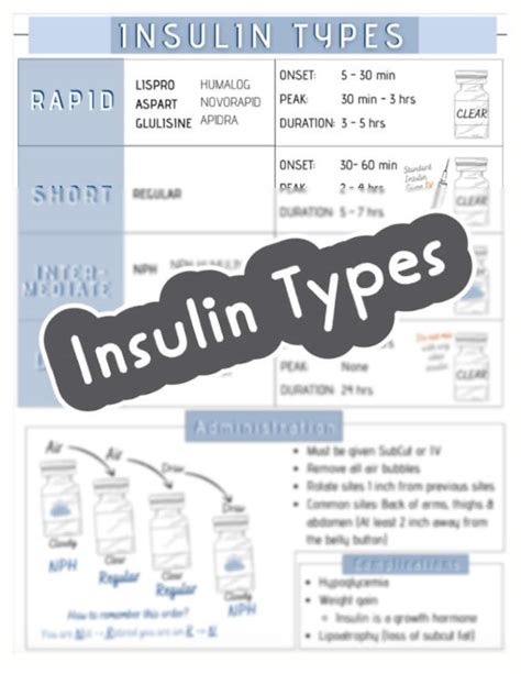 Insulin Types Cheat Sheet / Pharmacology / Nursing Notes | Etsy