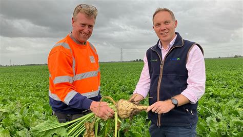 Early Sugar Beet Yields Promising For Cambridgeshire Grower Farmers