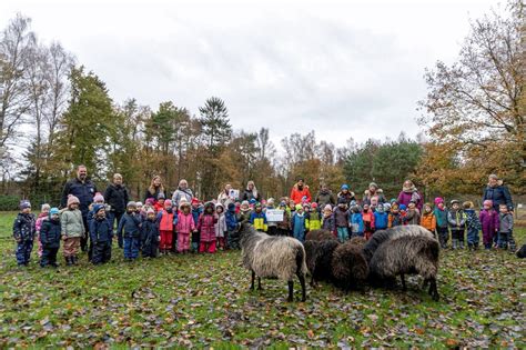 Miss M Den Hei T Flocke Und Lebt Nun Mit Artgenossen Im Wildpark M Den