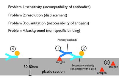 Introduction to Electron Microscopy - Advanced Microscopy - Imaging ...