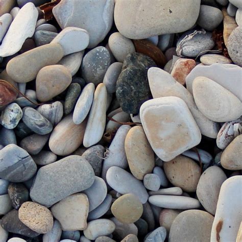 River Pebbles Stone Texture Seamless