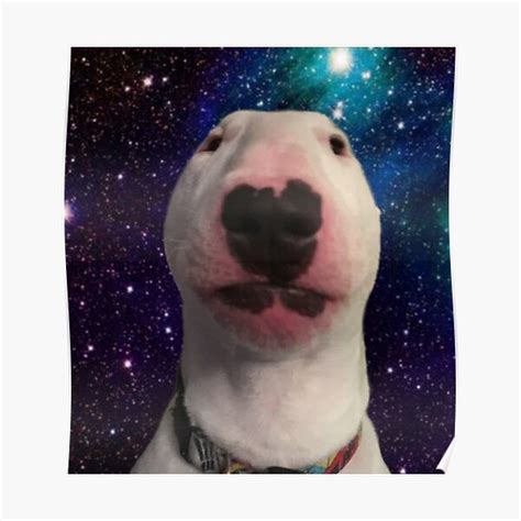 Walter The Dog Posters Redbubble