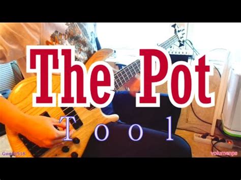 Tool The Pot Bass Cover Youtube