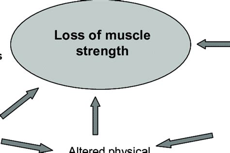 Proposed Mechanisms Leading To The Loss Of Muscle Strength With