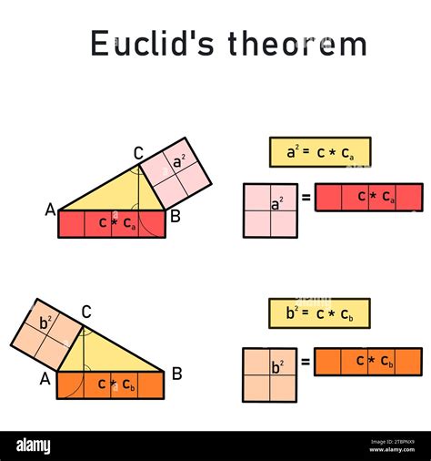 Euclids Theorem About The Perpendicularity Of A Right Triangle Stock