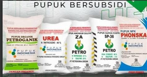 2023 Pemerintah Hanya Sediakan 2 Jenis Pupuk Subsidi Ini