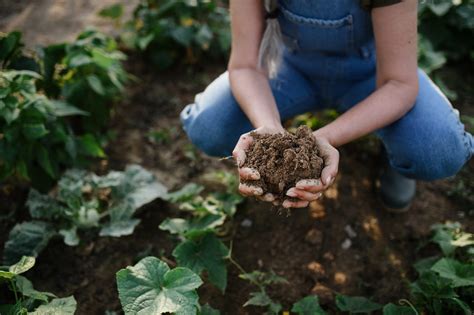 Why Regenerative Agriculture Practices Are So Important In The Grass