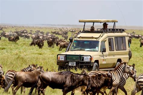 Days Tanzania Luxury Safari Tanzania Wildlife Safari Tours