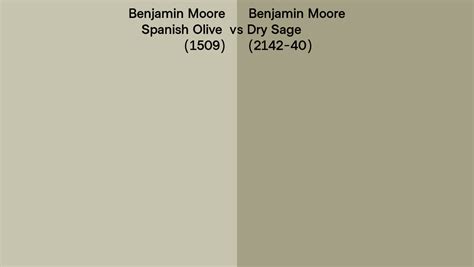 Benjamin Moore Spanish Olive Vs Dry Sage Side By Side Comparison