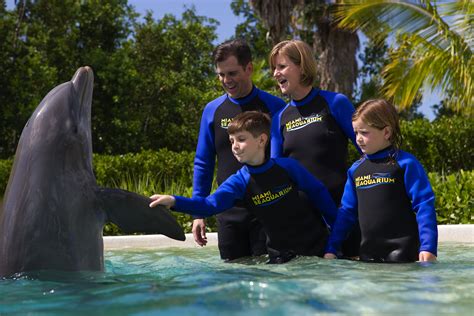 Best Animal Attractions in Miami | Leisure Pass Group