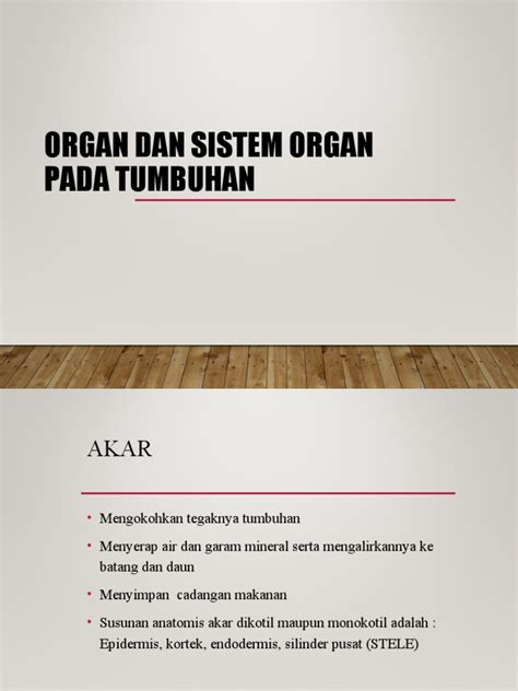 Organ Dan Sistem Organ Pada Tumbuhan Pdf