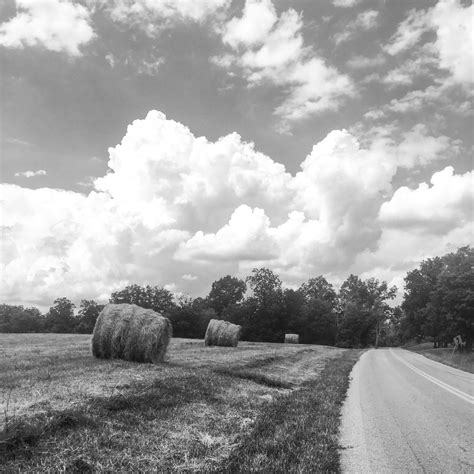 Free Images Landscape Tree Nature Grass Cloud Black And White