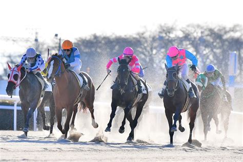 バンコロの渕 On Twitter Rt Kasamatsukeiba 第16回笠松競馬「新春シリーズ」、最終日までご投票ご観戦