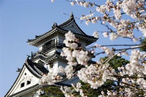 Kochi Japan Shore Excursions, Day Trips & Tours from Kochi Cruise Port