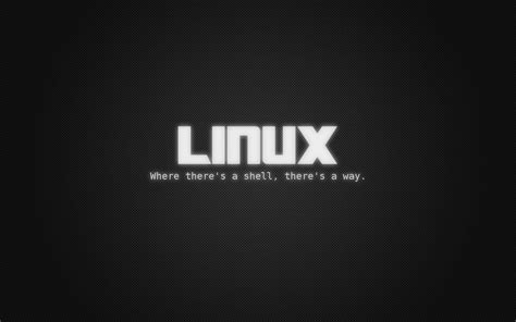 Black Linux Wallpapers Top Free Black Linux Backgrounds Wallpaperaccess