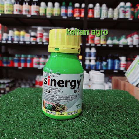 Jual Sinergy Ec Ml Shopee Indonesia