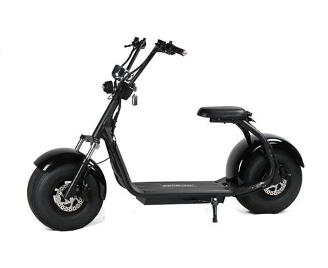 Ecorider Eec Certificate Citycoco Lt Two Wheel Electric Scooter