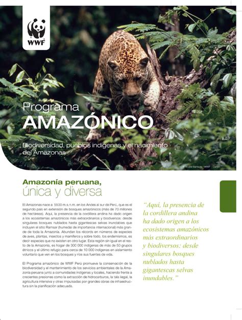 Programa Amaz Nico Wwf