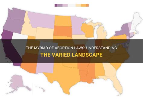 The Myriad Of Abortion Laws: Understanding The Varied Landscape | MedShun