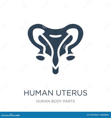 Uterus Icon In Cartoon Style Isolated On White Background Organs