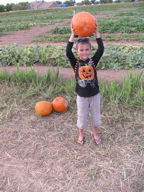 Pumpkin Patch Beemyr Finds Her Pumpkin Beauty Playin Eh Flickr