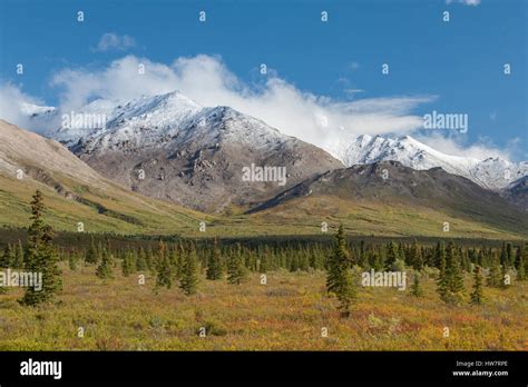 Termination dust on the Alaska Range, Denali National Park, Alaska Stock Photo - Alamy