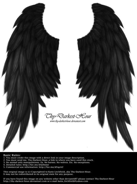 Black Feather Wings Drawing