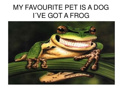 My Favourite Pet Is