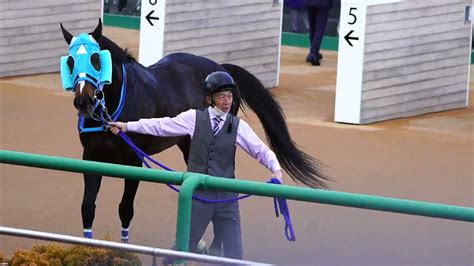 揺れ注意【現地撮影】障害絶対王者オジュウチョウサンの帰還。中山大障害2021 。20211225 中山競馬場 競馬動画まとめ