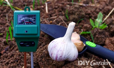 soil ph  vegetables chart     grow