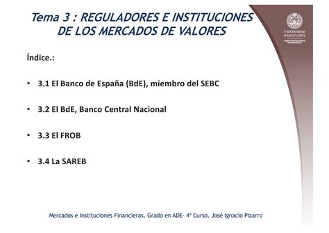 Tema Reguladores E Instituciones De Los Mercados De Valores Tema