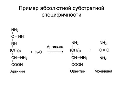 Ферменты - презентация онлайн