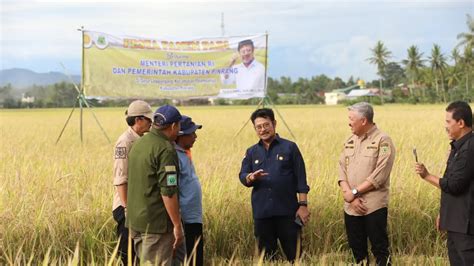 World Bank Laporkan Sektor Pertanian Jadi Pendorong Pengentasan