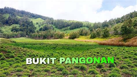 Keindahan Padang Savana Bukit Pangonan Dieng Youtube