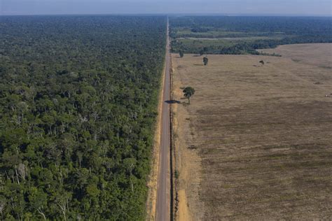 Deforestation In Brazilian Amazon Hits January Record Courthouse News