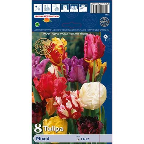 Tulip Parrot Mixed 67874 Sibulad Osta Soodsamalt GradinaMax Ee