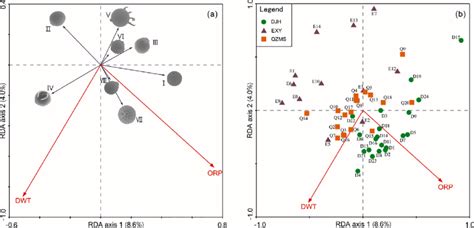 Rda Biplots Of Functional Groups A And Samples B With Significant Download Scientific