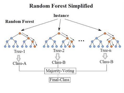 What Are The Top 5 Machine Learning Algorithms Gyansetu